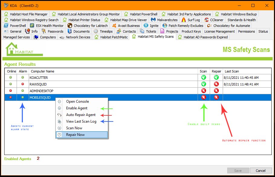 MS_Safety_Scan_Client_Console_explained.PNG